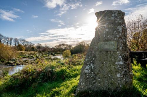 Wallis Pond in Ambleston restored to boost biodiversity